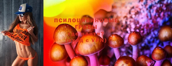 мяу мяу кристалл Алексин