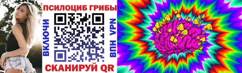 KRAKEN ССЫЛКА  Когалым  Псилоцибиновые грибы мицелий 