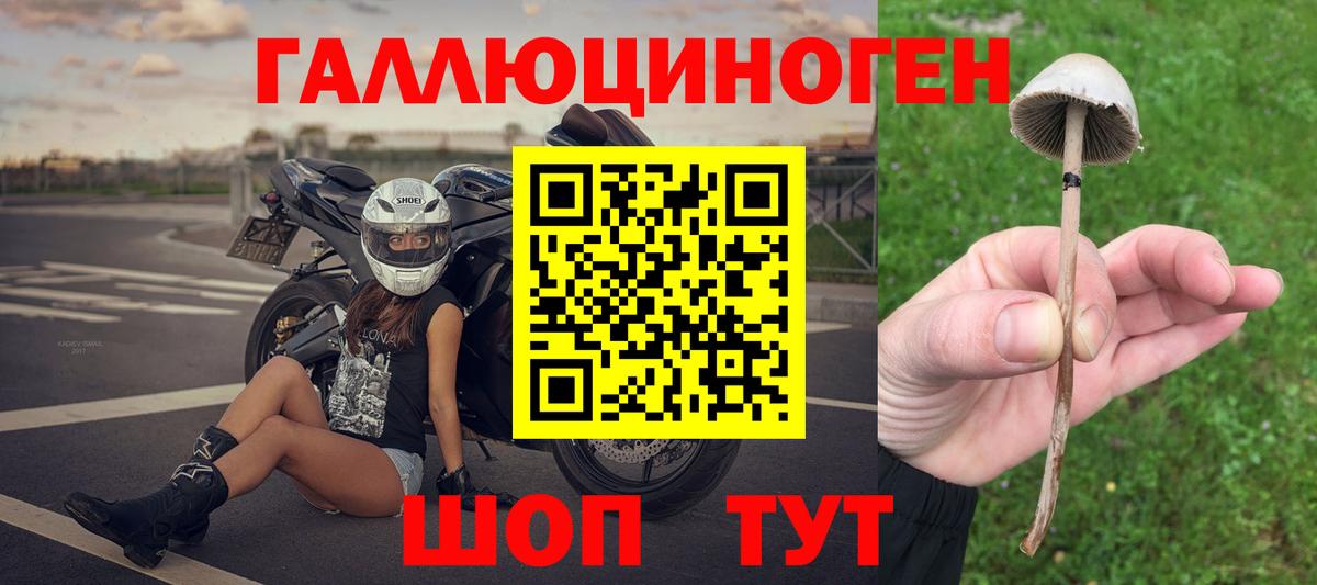 Псилоцибиновые грибы Psilocybine cubensis Когалым